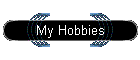 My Hobbies